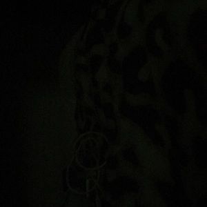 Meet your Posher, Markayla